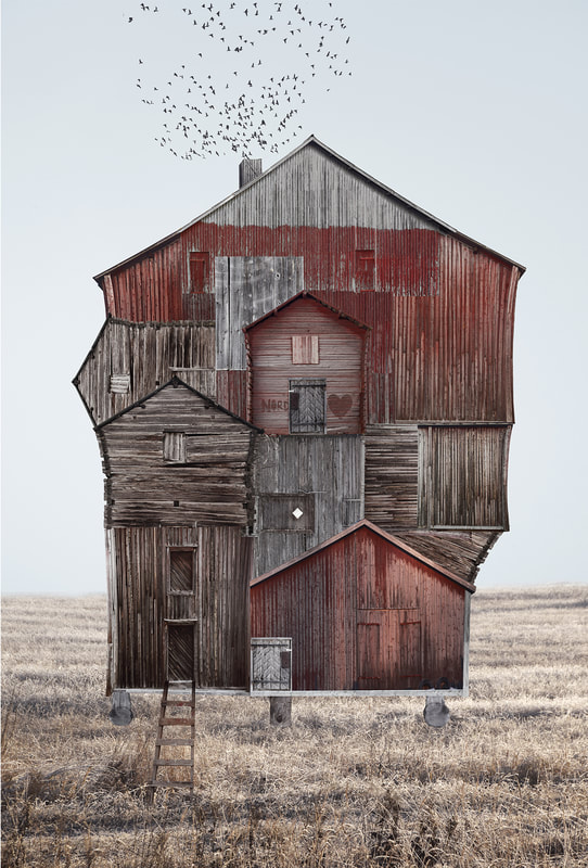 Stacks Image 5235