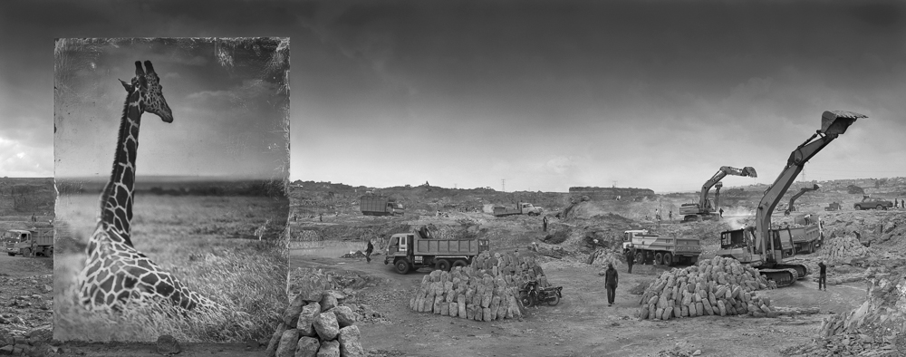 Stacks Image 8971